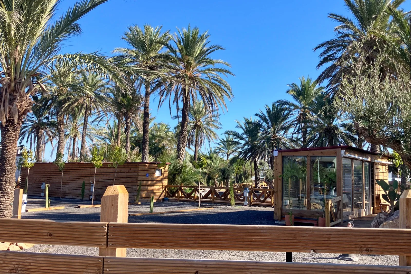 Palmeral del camping con caminos de grava y casetas de madera