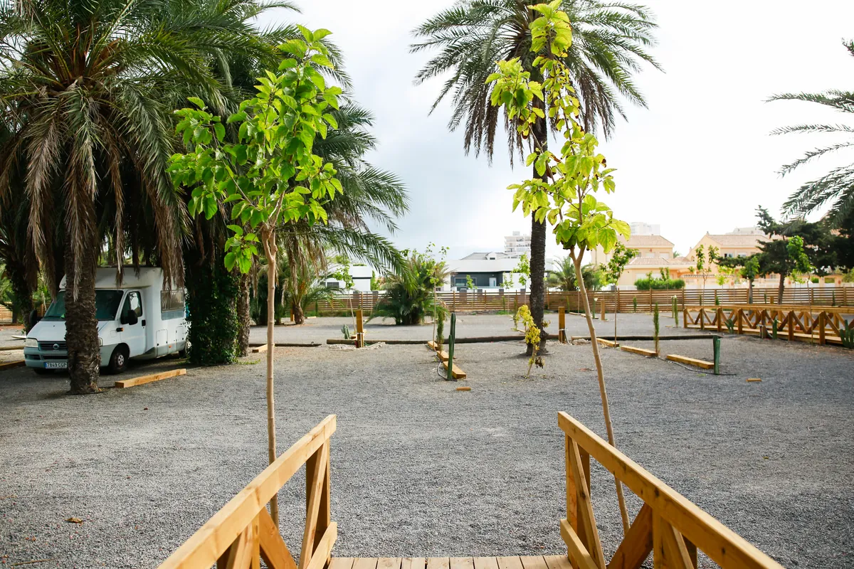 Parcelas de camping delimitadas con bordillos de madera entre palmeras