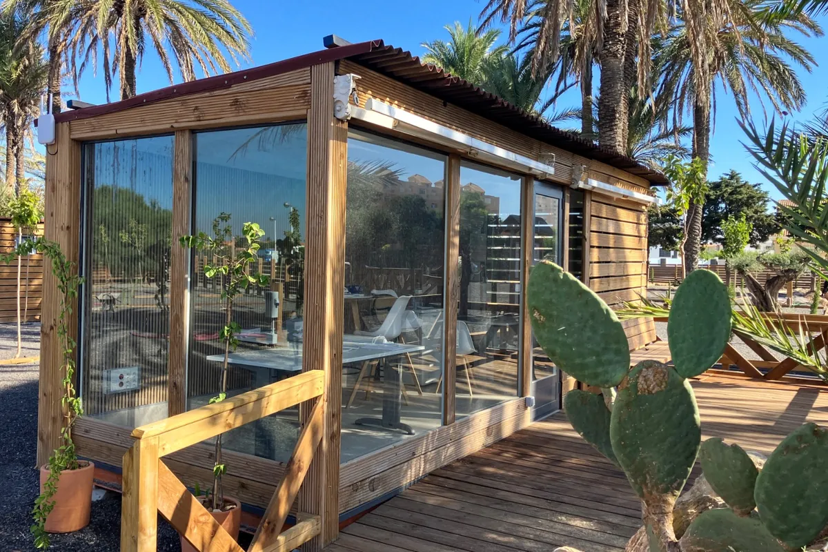 Recepción del camping entre palmeras, con cactus junto a la terraza