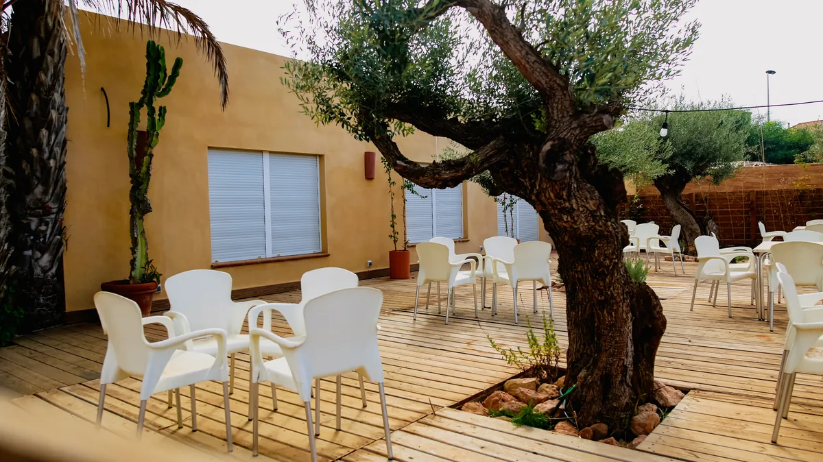 Terraza de madera del camping con olivos centenarios y mesas blancas
