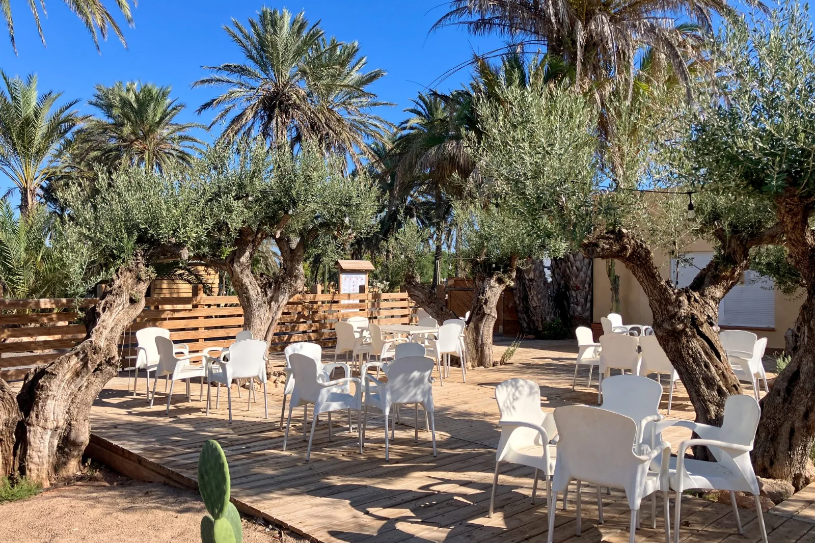 Terraza del restaurante con mesas entre olivos centenarios
